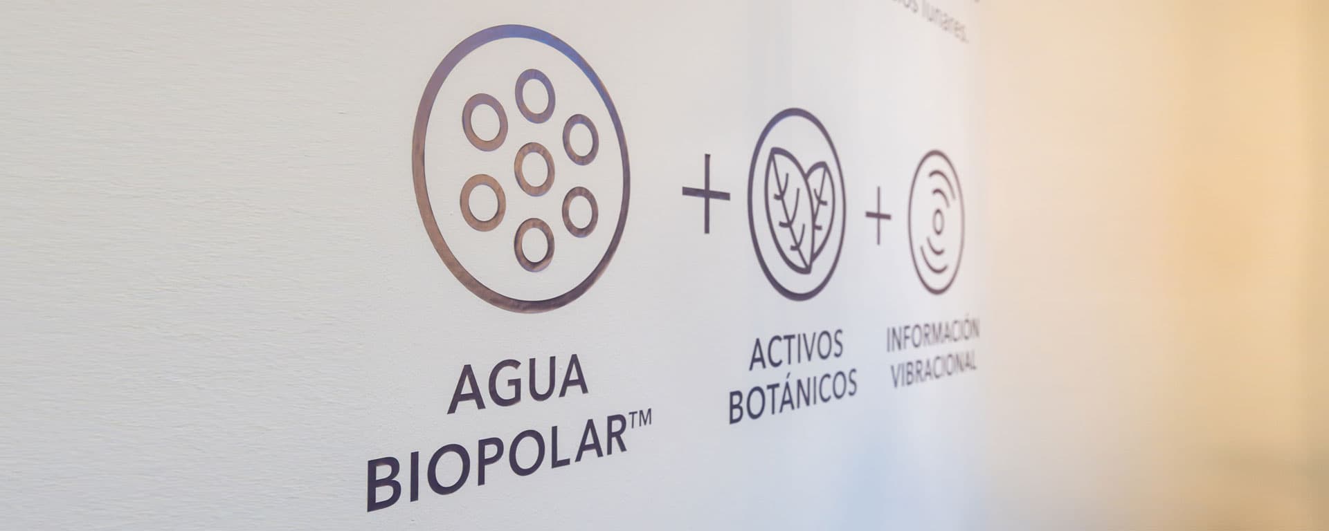 ¿Deseas más información?