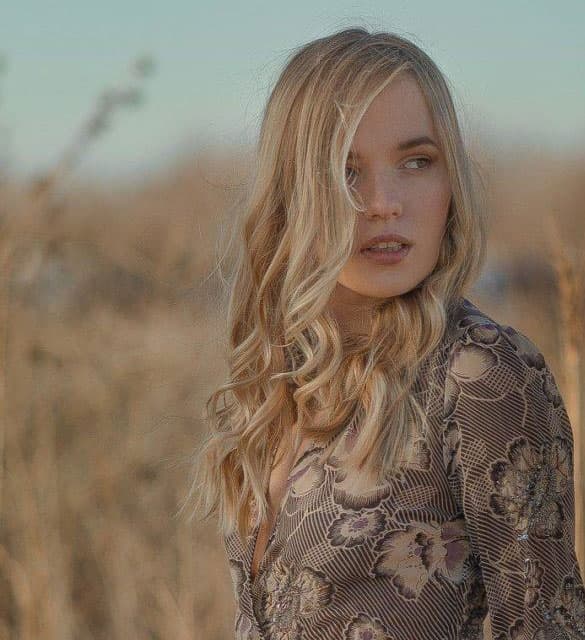 El poder del Difuminador Solar