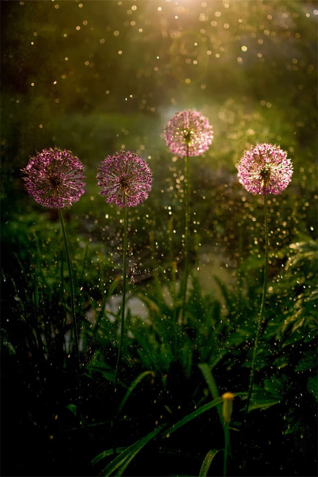 Descubre los beneficios del Agua Biopolar™ de Secretos del Agua