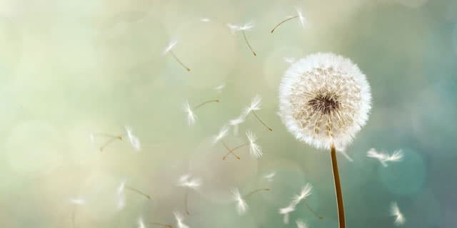 Tinte de barro en Vigo